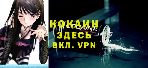 индика Алексин