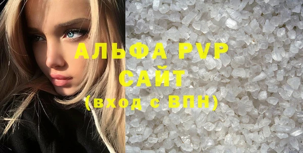 индика Алексин