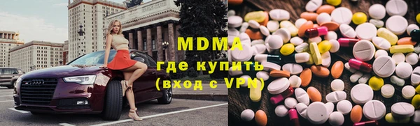 индика Алексин