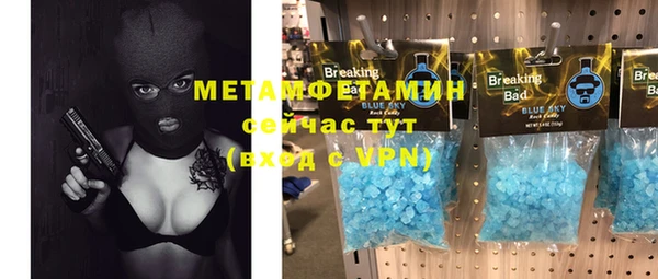 индика Алексин