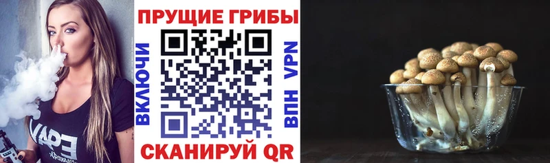 Псилоцибиновые грибы прущие грибы  Саянск 